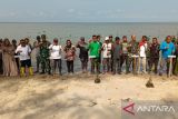 PT Timah dan Kodim 0317/TBK tanam ratusan mangrove di Pantai Sawang Karimun