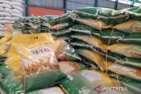 Stok beras di Bulog Sulutgo capai 19.000 ton