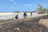 Limbah minyak hitam kotori kawasan pesisir Bintan