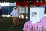 Petugas pendamping  (kanan) membantu seorang warga lansia untuk memasukan surat suara saat Pemungutan Suara Ulang (PSU) Pemilu 2024 di  TPS 01, Desa Teubaluy, kecamatan, Darul Kamal, kabupaten Aceh Besar, Aceh, Sabtu (24/2/2024). Komisi Independen Pemilihan (KIP) provinsi Aceh menggelar  Pemungutan Suara Ulang (PSU) pada 16 TPS  di sembilan kabupaten/kota  di provinsi Aceh karena terjadinya pelanggaran aturan pemilu 2024.  ANTARA FOTO/Ampelsa.