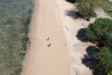 Pengunjung wisata Pantai Kurenai turun dampak cuaca tak menentu
