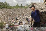 Pemulung mengumpulkan sampah di Tempat Pembuangan Akhir (TPA) Cikundul, Lembursitu, Kota Sukabumi, Jawa Barat, Jumat (23/2/2024). Petugas menggunakan alat berat menata sampah di Tempat Pembuangan Akhir (TPA) Cikundul, Lembursitu, Kota Sukabumi, Jawa Barat, Jumat (23/2/2024). Pemprov Jawa Barat melalui Dinas Lingkungan Hidup (DLH) Jawa Barat menganggarkan 0,4 persen dari APBD 2024 yang senilai Rp36,79 triliun untuk penanganan sampah di Jawa Barat. ANTARA FOTO/Henry Purba/agr
