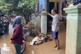 Anggota DPRD Lampung kunjung korban banjir di Lampung Selatan