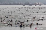 Lomba fin swimming Selat Madura Piala Kasal 2024