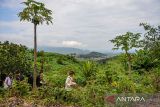 Masyarakat adat Cireundeu membawa bunga untuk ditaburkan di titik longsor bekas TPA Leuwigajah, Cimahi, Jawa Barat, Rabu (21/2/2024). Aksi tabur bunga tersebut dilakukan dalam rangka memperingati Hari Peduli Sampah Nasional (HPSN) serta 19 tahun tragedi longsornya sampah di TPA Leuwigajah yang menewaskan 157 orang. ANTARA FOTO/Raisan Al Farisi/agr