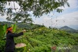 Masyarakat adat Cireundeu menaburkan bunga di titik longsor bekas TPA Leuwigajah, Cimahi, Jawa Barat, Rabu (21/2/2024). Aksi tabur bunga tersebut dilakukan dalam rangka memperingati Hari Peduli Sampah Nasional (HPSN) serta 19 tahun tragedi longsornya sampah di TPA Leuwigajah yang menewaskan 157 orang. ANTARA FOTO/Raisan Al Farisi/agr