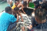 Harga ikan di Kupang alami kenaikan akibat cuaca buruk