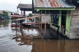 Banjir di Hanjalipan tak kunjung surut, BPBD Kotim lakukan asesmen ulang