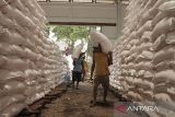 Pekerja mengangkut karung pupuk urea di gudang Lini 3 Pasirhayam, Cianjur, Jawa Barat, Selasa (27/2/2024). Pemerintah menambah jumlah pupuk bersubsidi pada 2024 dari 4,7 juta ton menjadi 9,55 juta ton guna memenuhi kebutuhan petani. ANTARA FOTO/Henry Purba/agr