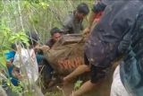 Tim SAR kembali temukan korban tewas akibat longsor di Luwu