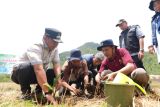 Pj Gubernur Sulsel tanam sukun di Luwu untuk perkuat ketahanan pangan