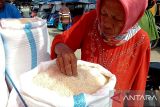 BRIN soroti korelasi impor beras dengan El Nino