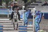 Atlet berkuda mengendalikan kudanya melompati rintangan saat berlatih menjelang Jumling Master 2024 di Kenpark Equeatrian Complex, Surabaya, Jawa Timur, Rabu (28/2/2024). Kompetisi ketangkasan berkuda Jumping Master 2024 itu digelar pada 29 Februari sampai 3 Maret 2024 dengan diikuti sekitar 124 ekor kuda dari 21 klub. Antara Jatim/Didik Suhartono.