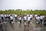 Manajemen Pertamina EP bersama SKK Migas dan Jurnalis melakukan penanaman mangrove di pesisir pantai Jadimulya Cirebon, Jawa Barat, Rabu (28/2/2024). Pertamina EP Zona 7 bersama SKK Migas melakukan penanaman bibit mangrove untuk menjaga kelestarian lingkungan di wilayah kerja hulu migas. ANTARA FOTO/Dedhez Anggara/agr
