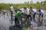 Manajemen Pertamina EP bersama SKK Migas dan jurnalis melakukan penanaman mangrove di pesisir pantai Jadimulya, Cirebon, Jawa Barat, Rabu (28/2/2024). Pertamina EP Zona 7 bersama SKK Migas melakukan penanaman bibit mangrove untuk menjaga kelestarian lingkungan di wilayah kerja hulu migas. ANTARA FOTO/Dedhez Anggara/agr
