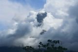PVMBG: Erupsi kembali terjadi di puncak Gunung Lewotolok