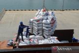 Buruh pelabuhan menurunkan beras impor asal Thailand dari kapal kargo berbendera Vietnam di Pelabuhan Malahayati, Kabupaten Aceh Besar, Aceh, Jumat (1/3/2024). Perum Bulog Wilayah Aceh  tahap awal telah mengimpor sebanyak 6.700 ton beras asal Thailand dan menyusul tahap kedua sebanyak 6.000 ton beras impor  asal Vietnam yang diperkiaran tiba di Aceh pertengahan  Maret 2024 guna memperkuat stok cadangan beras pemerintah (CBP) dalam rangka menyambut bulan ramadhan dan pemenuhan kebutuhan pangan. ANTARA FOTO/Ampelsa.