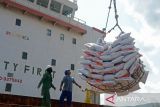 Buruh pelabuhan menurunkan  beras impor asal Thailand dari kapal kargo berbendera Vietnam di Pelabuhan Malahayati, Kabupaten Aceh Besar, Aceh, Jumat (1/3/2024). Perum Bulog Wilayah Aceh  tahap awal telah mengimpor sebanyak 6.700 ton beras asal Thailand dan menyusul tahap kedua sebanyak 6.000 ton beras impor  asal Vietnam yang diperkiaran tiba di Aceh pertengahan  Maret 2024 guna memperkuat stok cadangan beras pemerintah (CBP) dalam rangka menyambut bulan ramadhan dan pemenuhan kebutuhan pangan. ANTARA FOTO/Ampelsa.