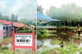 Lima desa di Pulang Pisau terendam banjir