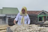 Pemprov Lampung sebarkan 525 ribu ekor benih ikan di 2024