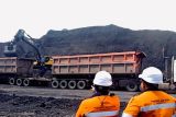 ESDM: Cadangan batu bara Indonesia tembus 31,9 miliar ton