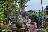 Wisatawan memperhatikan burung unta (Common Ostrich) yang berada di kandang di Taman Satwa Cikembulan, Kabupaten Garut, Jawa Barat, Minggu (3/3/2024). Kementerian Pariwisata dan Ekonomi Kreatif menargetkan sebanyak 1,2 hingga 1,5 miliar pergerakan wisatawan di seluruh nusantara pada 2024. ANTARA FOTO/Raisan Al Farisi/agr
