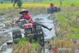 Nilai tukar petani secara nasional naik 2,28 persen