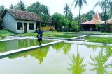 Produksi garam di Pantai Sepanjang mencapai 2,2 ton