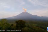 Gunung Semeru letuskan abu vulkanik