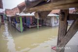 Warga berada dirumahnya yang terendam banjir di desa Melakasari, Gebang, Kabupaten Cirebon, Jawa Barat, Kamis (7/3/2024). Banjir yang merendam ratusan rumah warga itu disebabkan luapan Sungai Cisanggarung akibat hujan dengan intensitas tinggi di wilayah itu. ANTARA FOTO/Dedhez Anggara/agr