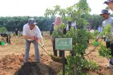 Itera dan KLHK tanam 400 bibit pohon peringati Hari Bhakti Rimbawan ke-41