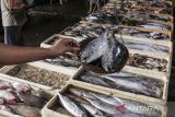 Pedagang menimbang ikan di tempat pelelangan ikan Palabuhanratu, Sukabumi, Jawa Barat, Jumat (8/3/2024). Kementerian Kelautan dan Perikanan (KKP) memperkirakan permintaan ikan pada Maret dan April 2024 mencapai 2,46 juta ton, sementara pasokan ikan dalam waktu itu bisa mencapai 3,10 juta ton sehingga mencukupi untuk memenuhi kebutuhan masyarakat selama Ramadhan dan Idul Fitri 2024. ANTARA FOTO/Henry Purba/agr