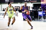 Triple-double Xavier Alexander bawa Hawks kalahkan Pacific di IBL 2024