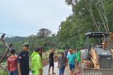 DPUPR buat jalan sementara, akses jalan provinsi Simpang Empat-Talu Pasaman Barat sudah bisa dilalui kendaraan