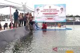 Wagub Kalteng tabur dua juta benur udang vaname