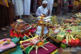 Pemuka agama Hindu berdoa dengan sesajen berisi uang saat tradisi Mesuryak di Desa Bongan Gede, Tabanan, Bali, Sabtu (9/3/2024). Tradisi yang digelar setiap Hari Raya Kuningan sebagai rasa suka cita untuk mengantarkan roh para leluhur kembali ke surga tersebut disaksikan wisatawan domestik dan mancanegara yang berkunjung ke desa itu. ANTARA FOTO/Nyoman Hendra Wibowo/wsj.