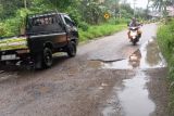 Jalan propinsi di Tanah Datar makin memprihatinkan