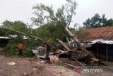 Rumah atap ringan di NTB rentan rusak akibat angin puting beliung