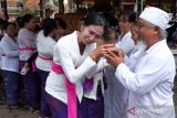  Warga saling memaafkan usai menggelar tradisi Mbed-Mbedan di Desa Adat Semate, Badung, Bali, Selasa (12/3/2024). Tradisi yang mirip olahraga tarik tambang tersebut digelar setiap setahun sekali tepatnya pada hari Ngembak Geni atau sehari setelah Hari Raya Nyepi Tahun Baru Saka 1946 dengan diikuti puluhan warga untuk memohon keharmonisan dan mempererat tali persaudaraan sesama warga. ANTARA FOTO/Nyoman Hendra Wibowo/wsj.