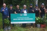 ORICA-Borneo Orangutan Survival melestarikan habitat orangutan