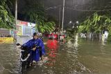 BNPB memastikan penanganan dampak banjir di Kota Semarang cepat dan tepat