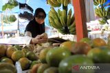 Pembeli memilih buah stroberi di pasar johor, Medan, Sumatera Utara, Rabu (13/3/2024). Menurut pedagang, pada bulan Ramadhan penjualan buah mengalami peningkatan sebesar 10-25 persen dibandingkan hari biasa dengan buah yang terlaris seperti buah jeruk, semangka, timun suri, alpukat dan bauh naga.