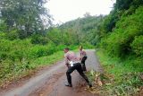 Satlantas Polres Matim bersihkan pohon tumbang tutup jalan