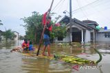 BRIN sebut hutan dibabat, Selat Muria menjadi daratan