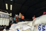 Bulog telah serap 330 ton beras petani di Lampung