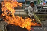 Pedagang membakar batang rotan (Pakat) yang dijual di Medan, Sumatera Utara, Jumat (15/3/2024). Makanan tradisional khas suku Batak Mandailing yang dijual dengan harga Rp3.000 per batang tersebut menjadi makanan yang digemari warga untuk santapan berbuka puasa pada bulan Ramadhan. ANTARA FOTO/Fransisco Carolio