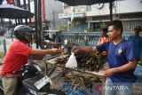 Pedagang membakar batang rotan (Pakat) yang dijual di Medan, Sumatera Utara, Jumat (15/3/2024). Makanan tradisional khas suku Batak Mandailing yang dijual dengan harga Rp3.000 per batang tersebut menjadi makanan yang digemari warga untuk santapan berbuka puasa pada bulan Ramadhan. ANTARA FOTO/Fransisco Carolio