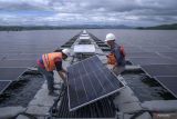 Mengurai tantangan energi alternatif berbasis riset