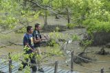 Menteri Pariwisata dan Ekonomi Kreatif (Menparekraf) Sandiaga Uno (kanan) berbincang dengan seorang anggota kelompok sadar wisata (Pokdarwis) saat mengunjungi kawasan ekowisata mangrove Pangkal Babu, Tungkal 1, Tanjung Jabung Barat, Jambi, Minggu (17/3/2024). Mangrove Pangkal Babu yang berada di kawasan rintisan desa wisata tersebut sebagian arealnya tengah dikembangkan menjadi kawasan ekowisata dan edukasi penanaman mangrove, serta budidaya kepiting oleh pemuda setempat yang didukung instansi terkait. ANTARA FOTO/Wahdi Septiawan/nym.
