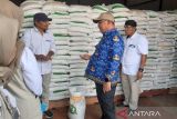 Bulog Palopo: Stok beras 4.000 ton aman hingga enam bulan